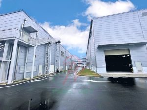 Su Lua Chon Thong Minh Hom 300x225 1